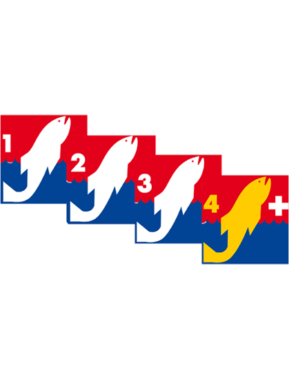 Bild von JSK Kombi 1 bis 4 (ab 7-jährig)